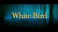 White Bird White Bird
