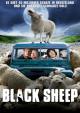 Black Sheep