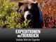 Expeditionen ins Tierreich - Specials