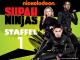 Supah Ninjas - Staffel 1 [dt./OV]