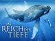 Im Reich der Tiefe - Staffel 1