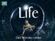 Life - Staffel 1 [dt./OV]