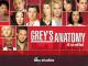 Grey's Anatomy - Staffel 4 [dt./OV]