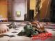 Creature Comforts - Staffel 1
