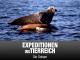 Expeditionen ins Tierreich - Die Ostsee