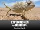 Expeditionen ins Tierreich - Abenteuer Namib