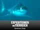 Expeditionen ins Tierreich - Abenteuer Ozean