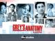Grey's Anatomy - Staffel 2 [dt./OV]