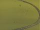 Der Rosarote Panther - Folge 61