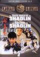Die Belagerung der Shaolin