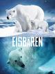 Eisbären
