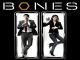 Bones - Staffel 2 [dt./OV]