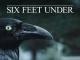 Six Feet Under - Staffel 4