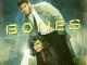Bones - Staffel 8 [dt./OV]