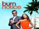 Burn Notice - Staffel 2