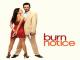 Burn Notice - Staffel 1