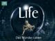Life [OV] - Staffel 1