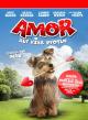 Amor Auf Vier Pfoten