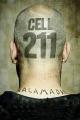 Cell 211
