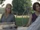 Die Cherokee Rose