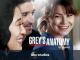 Grey's Anatomy - Season 10 [OmU]