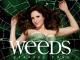 Weeds - Staffel 5 [dt./OV]