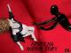 American Horror Story - Staffel 1 [OV]