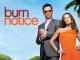 Burn Notice - Staffel 2 [OV]