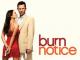 Burn Notice - Staffel 1 [OV]