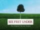 Six Feet Under - Staffel 2 [OV]