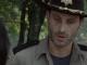 Cherokee Rose