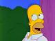 When Flander Failed