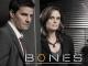 Bones - Staffel 2 [OV]