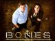 Bones - Staffel 1 [OV]