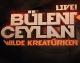 Bülent Ceylan - Wilde Kreatürken
