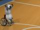 Tennis III/Rollstuhlbasketball/ Judo/Gehen II/Mountainbiking