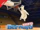 Bernard Sports - Staffel 2