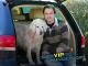 Der VIP-Hundeprofi (Staffel 2)