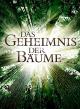 Das Geheimnis der Bäume