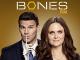 Bones - Staffel 9 [dt./OV]