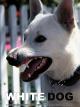 White Dog [dt./OV]
