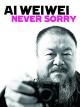 Ai Weiwei - Never Sorry