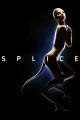 Splice