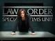 Law & Order: Special Victims Unit Season 16 [OV]