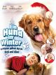 Ein Hund im Winter