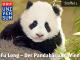 Universum ORF - Fu Long