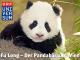 Fu Long – Der Pandabär aus Wien - 2. Teil: So longFu Long