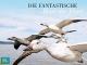 Die fantastische Reise der Vögel [dt./OV]