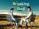 Breaking Bad - Staffel 2 (4K UHD)