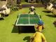 Pingpong im Hühnerstall